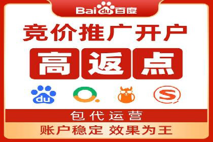 行业领先的SEM投放效果案例解析